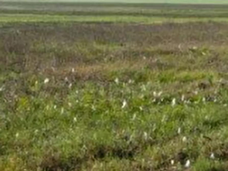 Immagine 14 di Casa indipendente in vendita  in Vicolo San Sisto a Ravenna