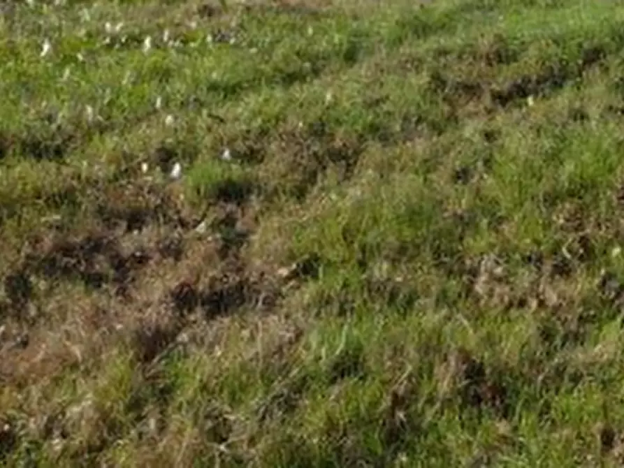 Immagine 15 di Casa indipendente in vendita  in Vicolo San Sisto a Ravenna