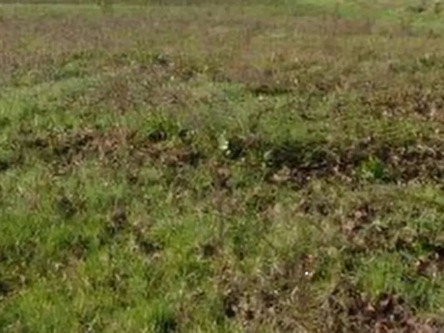 Immagine 16 di Casa indipendente in vendita  in Vicolo San Sisto a Ravenna