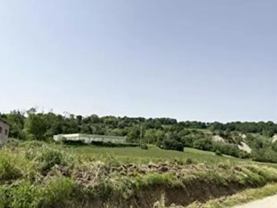 Immagine 1 di Terreno edificabile in vendita  in Via Casinella a Tavoleto