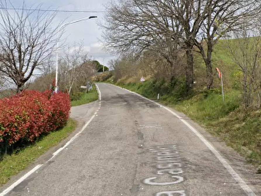 Immagine 5 di Terreno edificabile in vendita  in Via Casinella a Tavoleto