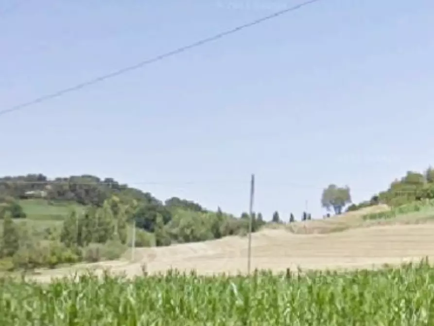 Immagine 2 di Terreno edificabile in vendita  in Localita' Arzilla di Novilara a Pesaro