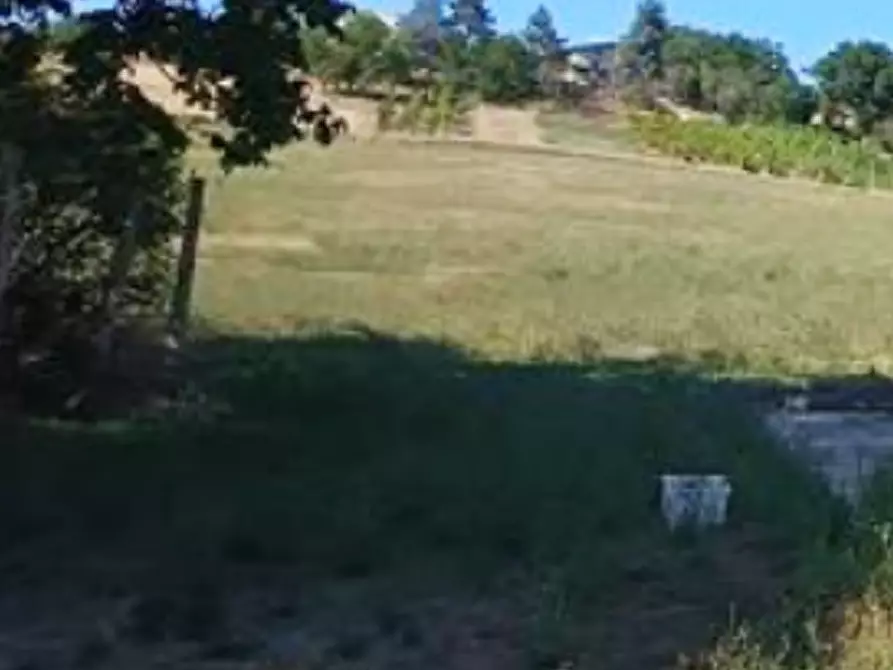 Immagine 3 di Terreno edificabile in vendita  in Localita' Arzilla di Novilara a Pesaro
