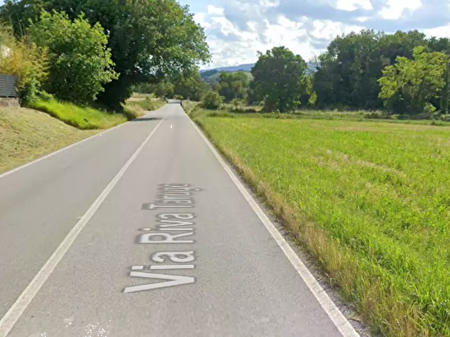 Immagine 6 di Capannone industriale in vendita  in Via Riva Tarugo a Sant'ippolito