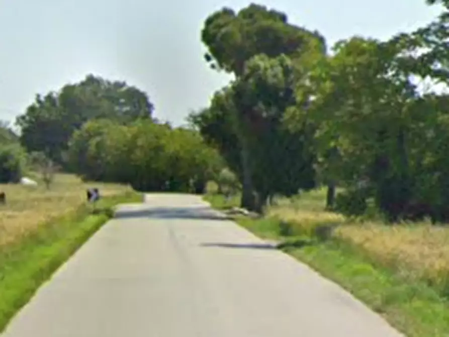 Immagine 6 di Laboratorio in vendita  in Via Metauro a Cartoceto