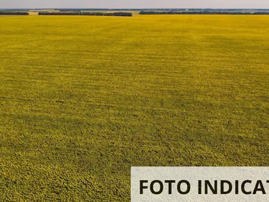 Immagine 13 di Terreno edificabile in vendita  in Via Meano a Pompiano