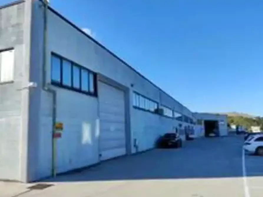 Immagine 4 di Capannone industriale in vendita  in Via dell'Industria a Sassocorvaro Auditore