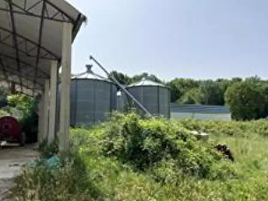 Immagine 5 di Magazzino in vendita  in Via Casinella a Tavoleto