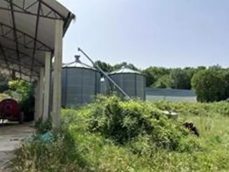 Immagine 6 di Magazzino in vendita  in Via Casinella a Tavoleto
