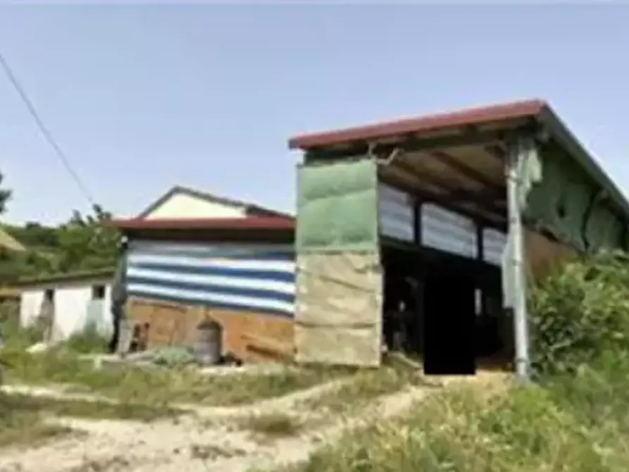 Immagine 2 di Capannone industriale in vendita  in Via Pianacci a Tavoleto