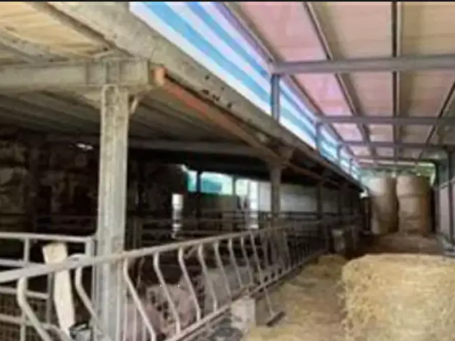 Immagine 5 di Capannone industriale in vendita  in Via Pianacci a Tavoleto