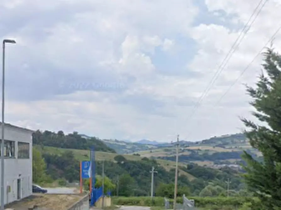 Immagine 6 di Capannone industriale in vendita  in Via Pianacci a Tavoleto