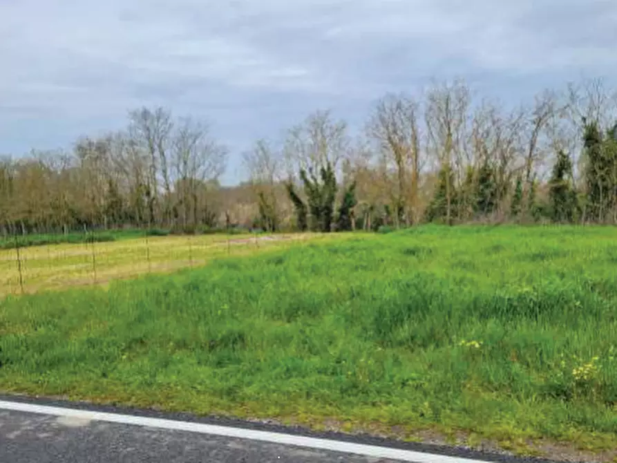 Immagine 20 di Porzione di casa in vendita  in Via Guglielmo Marconi a Pincara