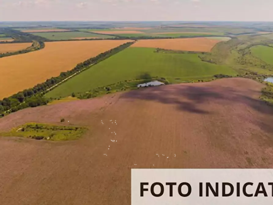 Immagine 13 di Terreno edificabile in vendita  in località fossaragna a Bovolenta