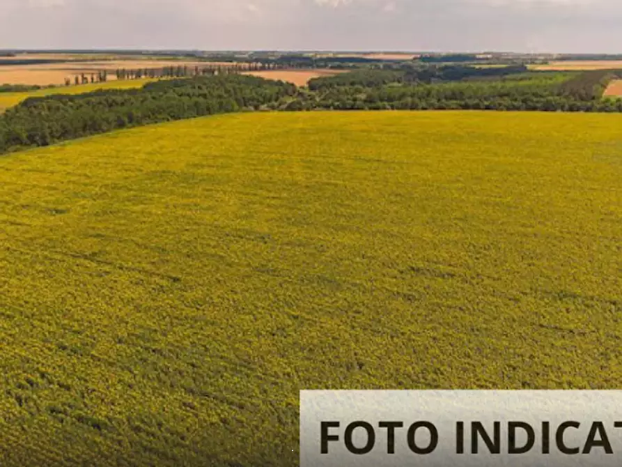 Immagine 14 di Terreno edificabile in vendita  in località fossaragna a Bovolenta