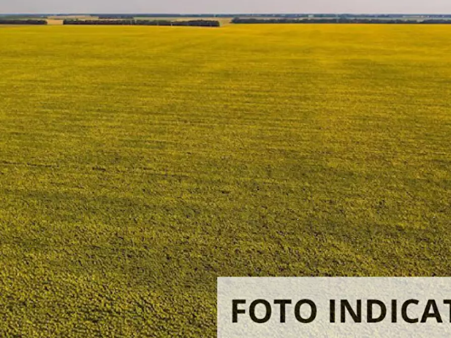 Immagine 16 di Terreno edificabile in vendita  in località fossaragna a Bovolenta