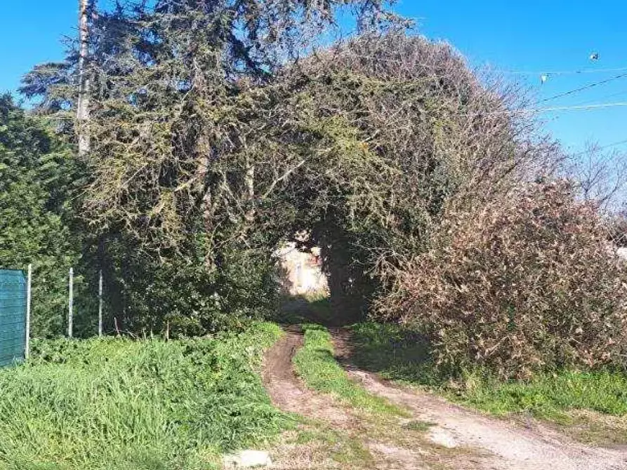 Immagine 2 di Porzione di casa in vendita  in Via Ronchegalli a Bosaro