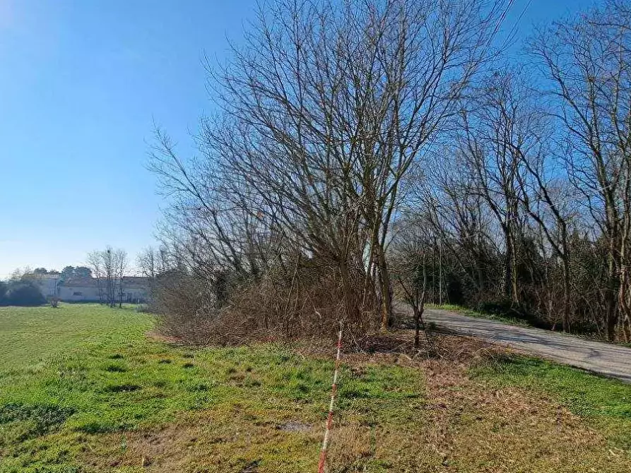 Immagine 5 di Porzione di casa in vendita  in Via Ronchegalli a Bosaro