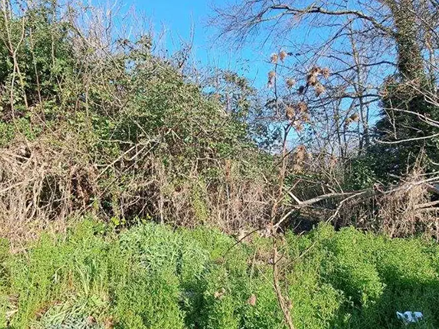 Immagine 6 di Porzione di casa in vendita  in Via Ronchegalli a Bosaro