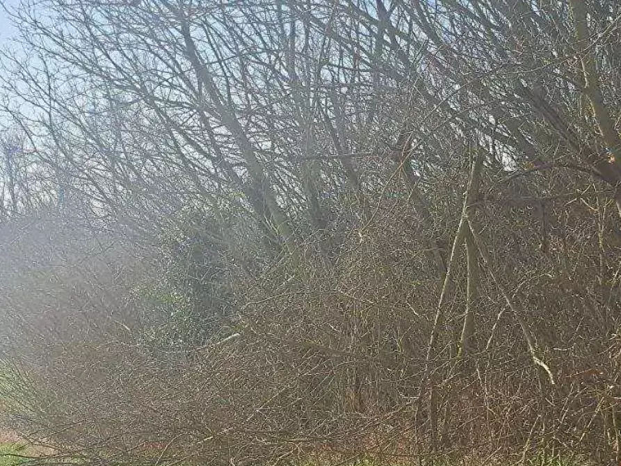 Immagine 7 di Porzione di casa in vendita  in Via Ronchegalli a Bosaro