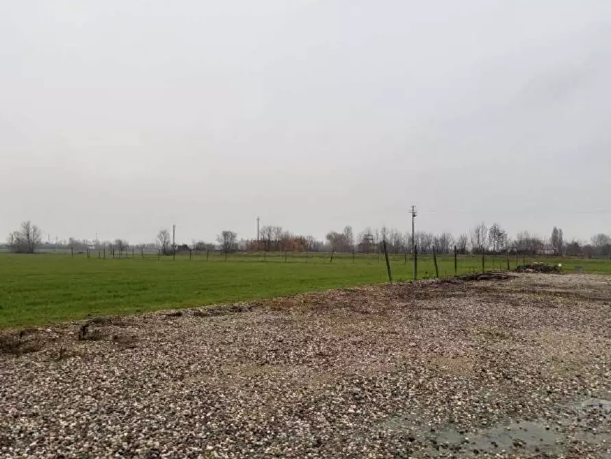 Immagine 1 di Terreno agricolo in vendita  in Strada Calliera Sacca a Goito