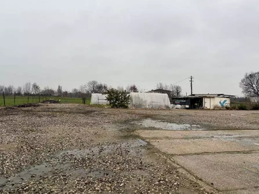 Immagine 2 di Terreno agricolo in vendita  in Strada Calliera Sacca a Goito