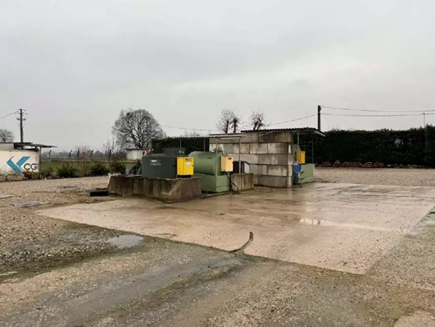 Immagine 3 di Terreno agricolo in vendita  in Strada Calliera Sacca a Goito