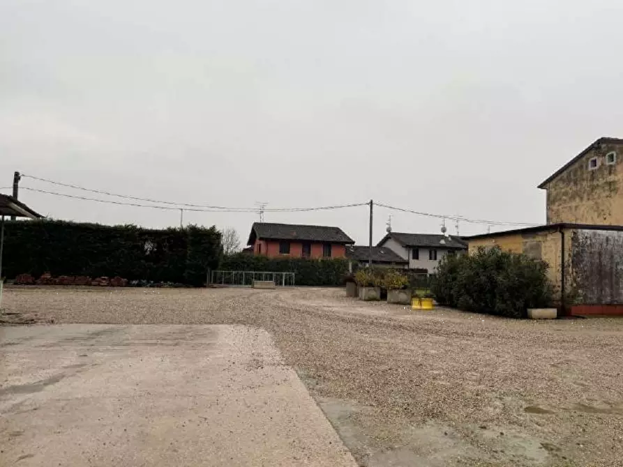 Immagine 4 di Terreno agricolo in vendita  in Strada Calliera Sacca a Goito