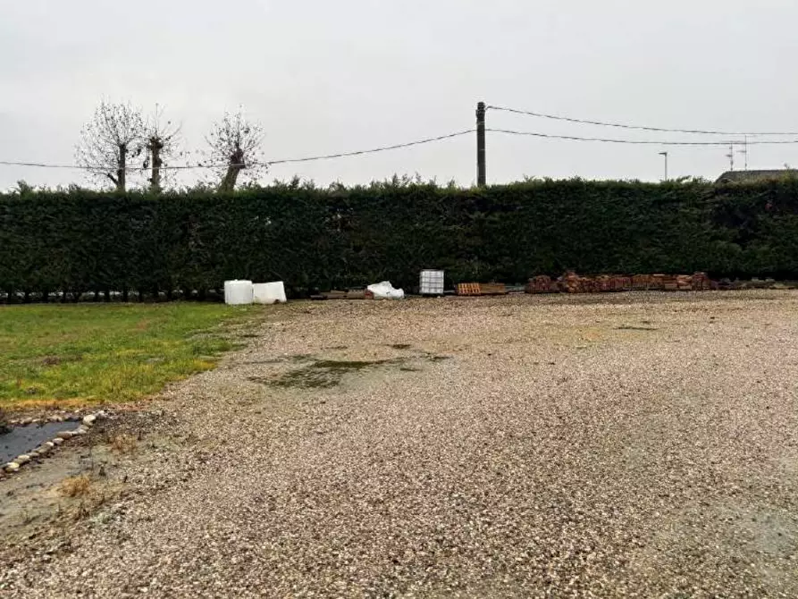 Immagine 5 di Terreno agricolo in vendita  in Strada Calliera Sacca a Goito