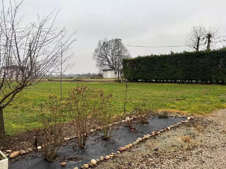Immagine 6 di Terreno agricolo in vendita  in Strada Calliera Sacca a Goito