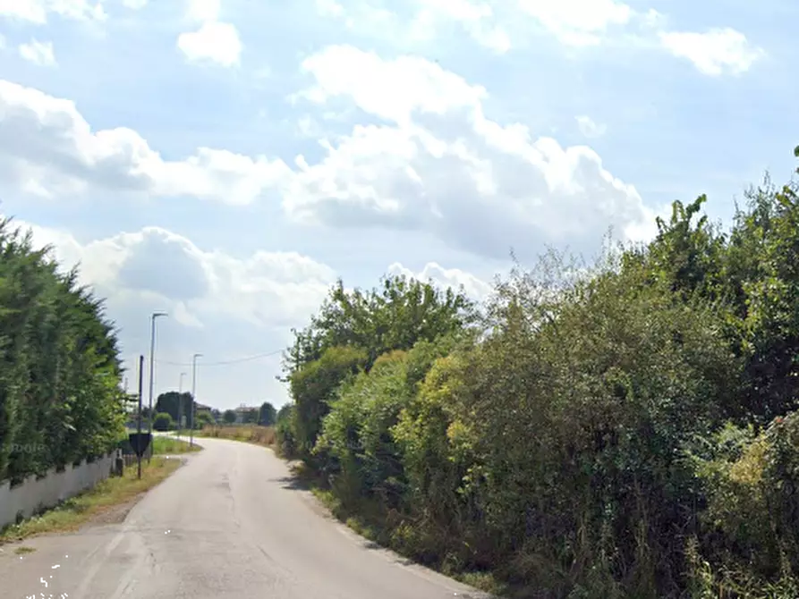 Immagine 9 di Terreno agricolo in vendita  in Strada Calliera Sacca a Goito
