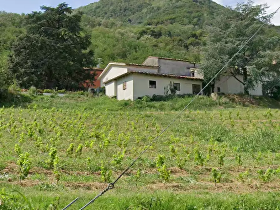 Immagine 9 di Porzione di casa in vendita  in Via dietro cero a Baone