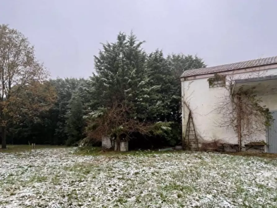 Immagine 3 di Magazzino in vendita  in Via Padusa a Poggio Renatico