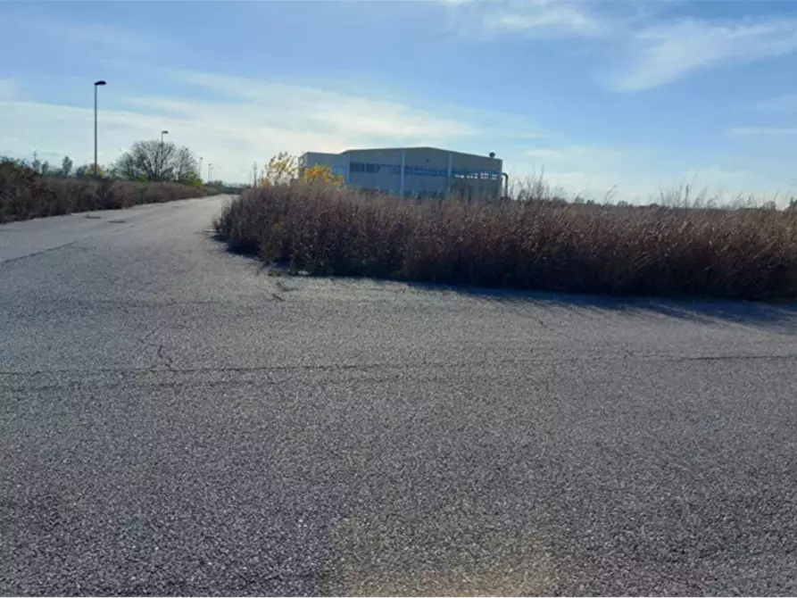 Immagine 3 di Terreno edificabile in vendita  in Via Pietro Nenni a Fratta Polesine