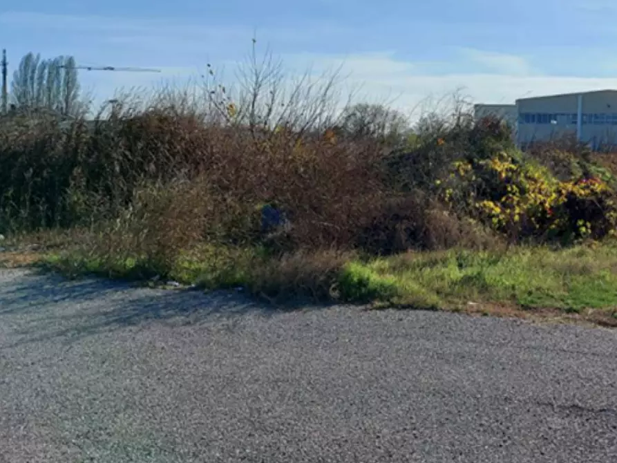 Immagine 7 di Terreno edificabile in vendita  in Via Pietro Nenni a Fratta Polesine