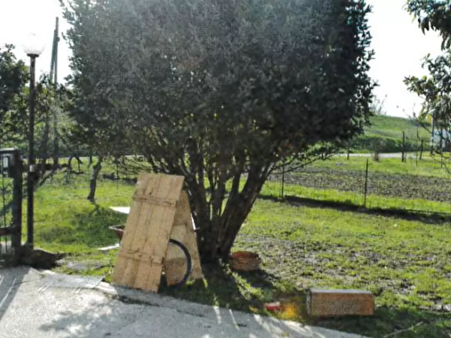 Immagine 3 di Porzione di casa in vendita  in Via San Lorenzo a Pontelongo