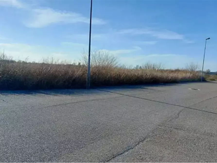 Immagine 3 di Terreno edificabile in vendita  in Via Pietro Nenni  a Fratta Polesine