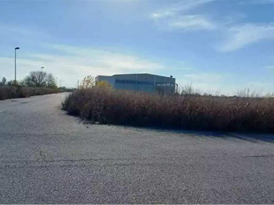 Immagine 6 di Terreno edificabile in vendita  in Via Nenni a Fratta Polesine