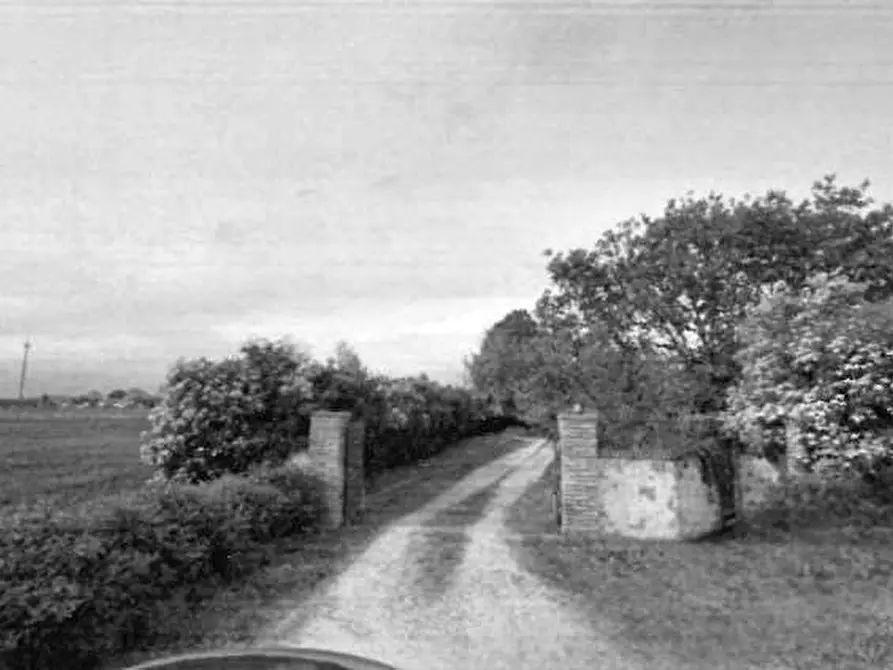 Immagine 7 di Casa bifamiliare in vendita  in Via Argine a Pozzonovo