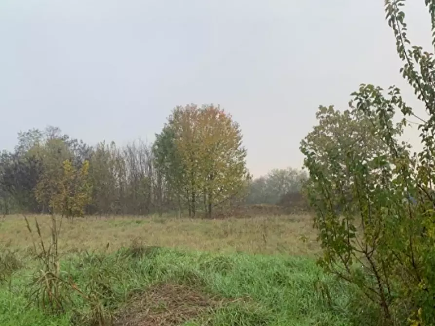 Immagine 1 di Terreno edificabile in vendita  in Strada Acquanegra Asola a Acquanegra Sul Chiese