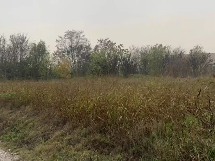 Immagine 3 di Terreno edificabile in vendita  in Strada Acquanegra Asola a Acquanegra Sul Chiese