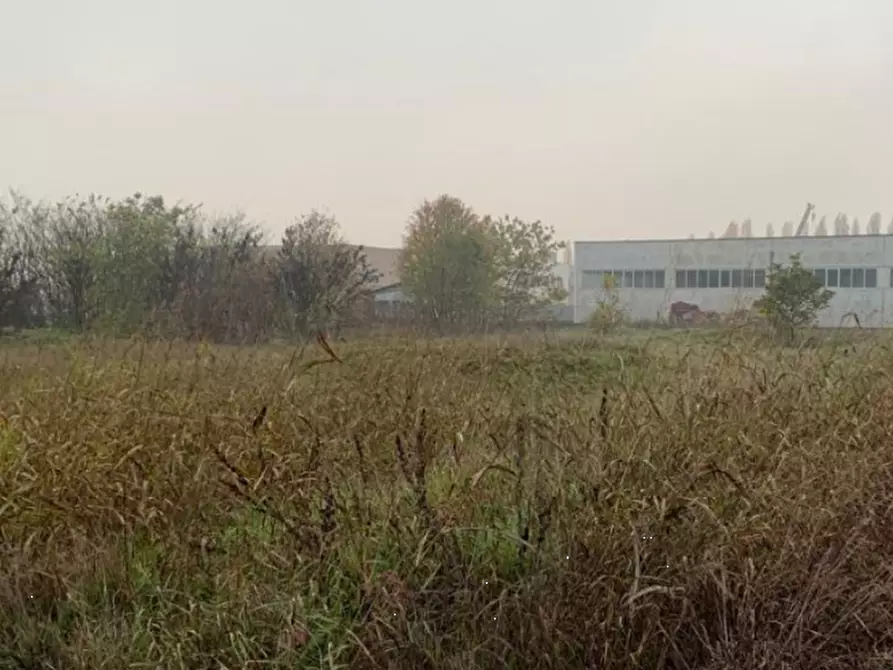 Immagine 5 di Terreno edificabile in vendita  in Strada Acquanegra Asola a Acquanegra Sul Chiese