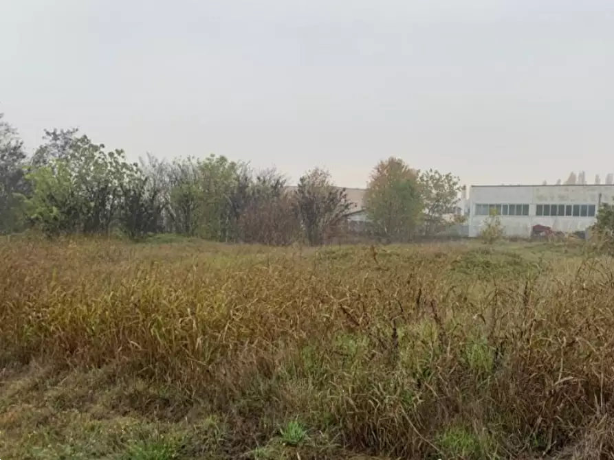 Immagine 10 di Terreno edificabile in vendita  in Strada Acquanegra Asola a Acquanegra Sul Chiese