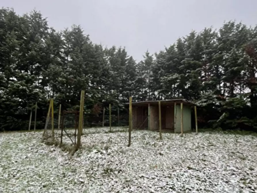 Immagine 5 di Villa in vendita  in Via Padusa a Poggio Renatico