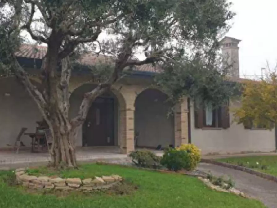 Immagine 6 di Villa in vendita  in Via Monte Grappa a Arzergrande