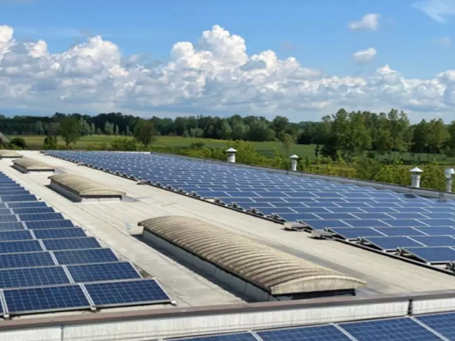 Immagine 15 di Capannone industriale in vendita  in Via Piave a Piombino Dese