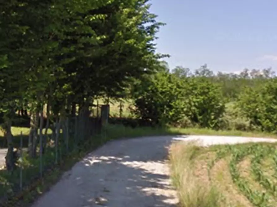 Immagine 17 di Capannone industriale in vendita  in Via Piave a Piombino Dese