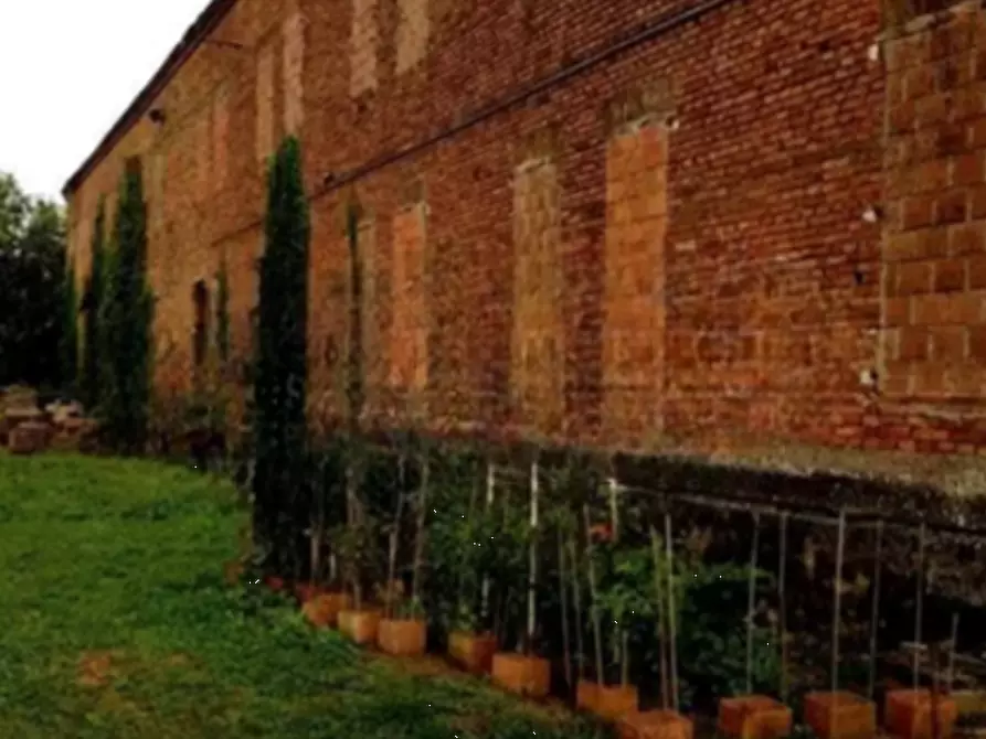 Immagine 5 di Magazzino in vendita  in Via XXVIII Aprile a Vescovana