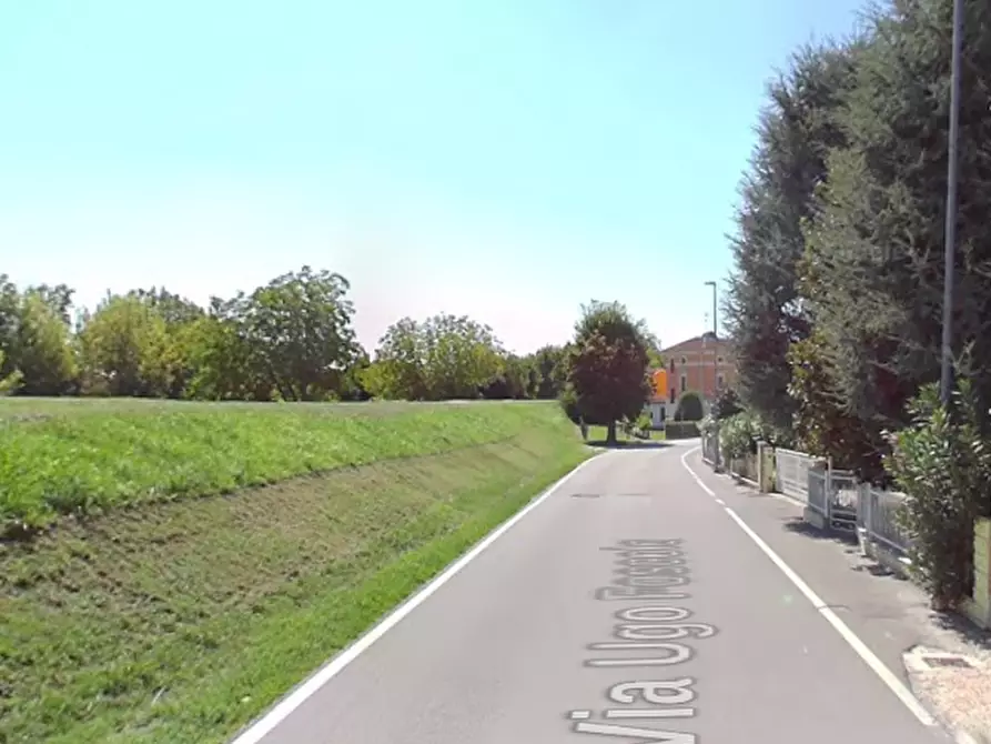 Immagine 7 di Terreno agricolo in vendita  in Via Cesare Canova a Moglia