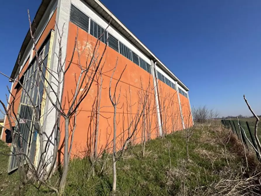 Immagine 3 di Capannone industriale in vendita  in Via Banzi Cento  a Budrio